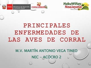 PRINCIPALES
ENFERMEDADES DE
LAS AVES DE CORRAL
M.V. MARTÍN ANTONIO VEGA TINEO
NEC - ACOCRO 2
 