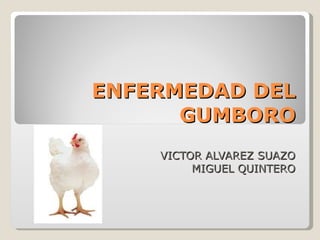 ENFERMEDAD DEL GUMBORO VICTOR ALVAREZ SUAZO MIGUEL QUINTERO 