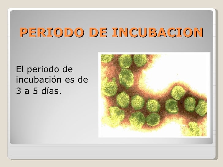 Enfermedad del Gumboro