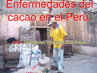 Enfermedades del
cacao en el Perú.

         Autor:




martes, 12 de octubre de 2010
 
