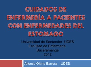 Universidad de Santander UDES
    Facultad de Enfermería
         Bucaramanga
             2012

 Alfonso Olarte Barrera   UDES
 