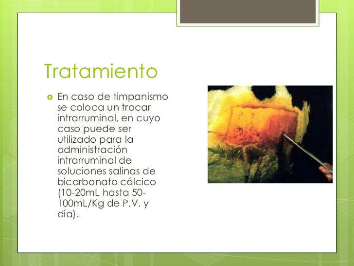 Enfermedades del ganado bovino (1)