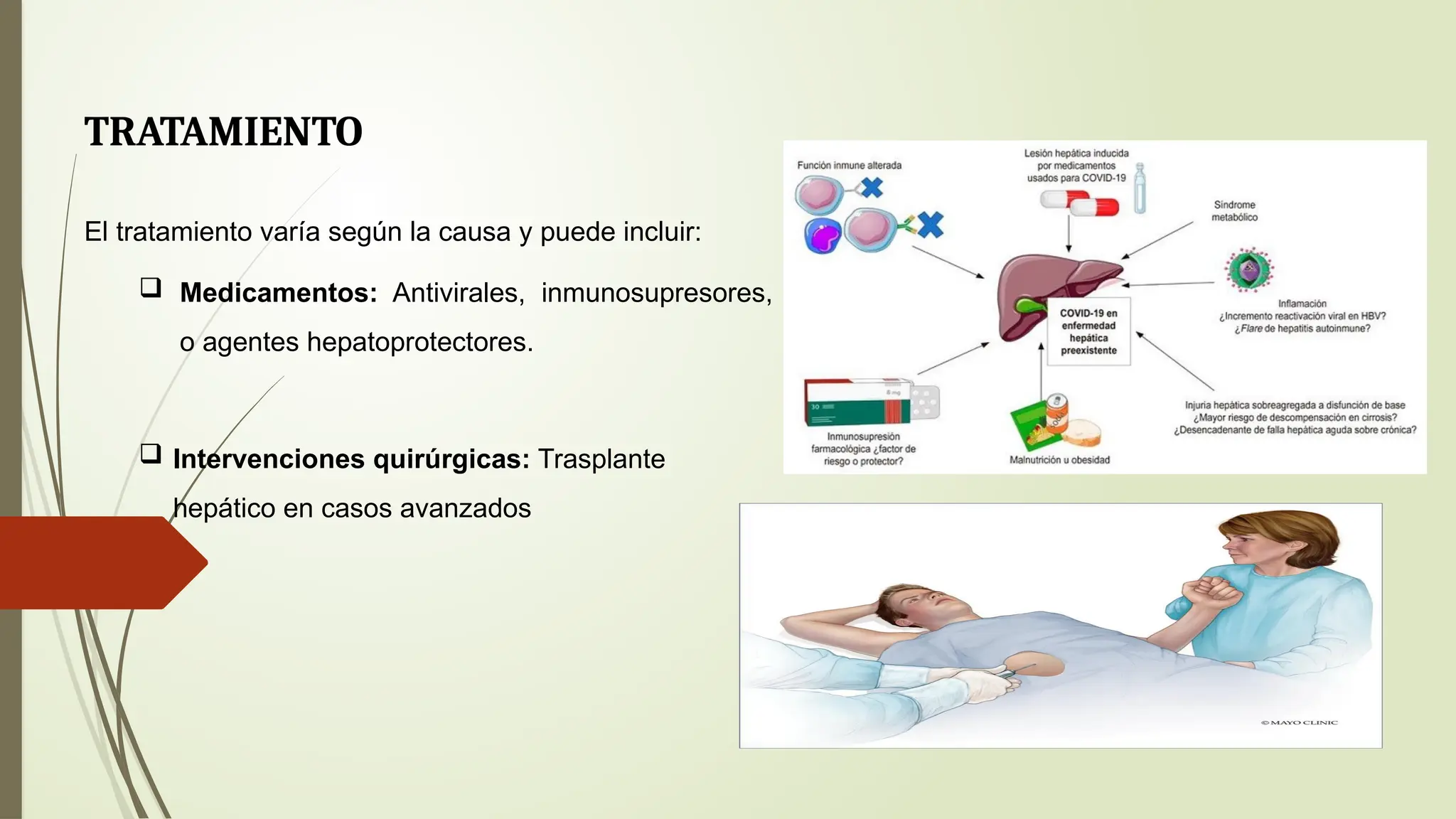 ENFERMEDADES DEL Hígado EN SALUD DE PATOLOGÍA ...pptx