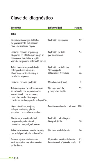 112
Clave de diagnóstico
Síntomas Enfermedad Página
Tallo
Decoloración negra del tallo; Pudrición carbonosa 57
desgarramiento del interior;
haces de material negro.
Lesiones oscuras angostas y Pudrición de tallo 54
alargadas en el tallo que luego se por antracnosis
oscurecen, marchitez y tejido
vascular desgarrado color café oscuro.
Tallos quebrados; médula de Pudrición de tallo por 61
color pardusco; después, Stenocarpella,
abundantes estructuras que Gibberella o Fusarium 46
producen esporas.
Lesiones oscuras;pudrición. Mancha café (peca) 2
Tejido vascular de color café que Necrosis vascular 53
se extiende por los entrenudos, y marchitez tardía
icomenzando por las raíces;
marchitez de la planta que
comienza en la etapa de la floración.
Hojas cloróticas y rojizas; Enanismo arbustivo del maíz 108
achaparramiento; planta
arbustiva con muchos macollos.
Planta seca; interior del tallo Pudrición del tallo por
desgarrado y decolorado; Botryodiplodia 58
masas oscuras y algodonosas.
Achaparramiento; clorosis; muerte Necrosis letal del maíz 96
cerca del periodo de la floración.
Enanismo; acortamiento de Moteado clorótico del maíz 92
los internudos; manchas verdes Enanismo clorótico del maíz 91
en las hojas.
 