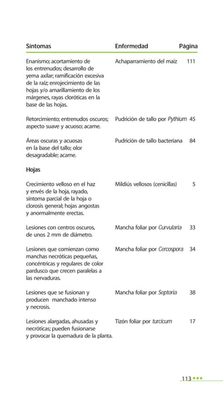 113
Enanismo; acortamiento de Achaparramiento del maíz 111
los entrenudos; desarrollo de
yema axilar; ramificación excesiva
de la raíz; enrojecimiento de las
hojas y/o amarillamiento de los
márgenes, rayas cloróticas en la
base de las hojas.
Retorcimiento; entrenudos oscuros; Pudrición de tallo por Pythium 45
aspecto suave y acuoso; acame.
Áreas oscuras y acuosas Pudrición de tallo bacteriana 84
en la base del tallo; olor
desagradable; acame.
Hojas
Crecimiento velloso en el haz Mildiús vellosos (cenicillas) 5
y envés de la hoja, rayado,
síntoma parcial de la hoja o
clorosis general; hojas angostas
y anormalmente erectas.
Lesiones con centros oscuros, Mancha foliar por Curvularia 33
de unos 2 mm de diámetro.
Lesiones que comienzan como Mancha foliar por Cercospora 34
manchas necróticas pequeñas,
concéntricas y regulares de color
pardusco que crecen paralelas a
las nervaduras.
Lesiones que se fusionan y Mancha foliar por Septoria 38
producen manchado intenso
y necrosis.
Lesiones alargadas, ahusadas y Tizón foliar por turcicum 17
necróticas; pueden fusionarse
y provocar la quemadura de la planta.
Síntomas Enfermedad Página
 