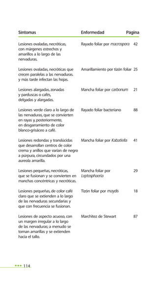 114
Lesiones ovaladas,necróticas, Rayado foliar por macrospora 42
con márgenes estrechos y
amarillos a lo largo de las
nervaduras.
Lesiones ovaladas, necróticas que Amarillamiento por tizón foliar 25
crecen paralelas a las nervaduras.
y más tarde infectan las hojas.
Lesiones alargadas, zonadas Mancha foliar por carbonum 21
y parduscas o cafés,
delgadas y alargadas.
Lesiones verde claro a lo largo de Rayado foliar bacteriano 88
las nervaduras, que se convierten
en rayas y, posteriormente,
en desgarramiento de color
blanco-grisáceo a café.
Lesiones redondas y translúcidas Mancha foliar por Kabatiella 41
que desarrollan centros de color
crema y anillos que varían de negro
a púrpura, circundados por una
aureola amarilla.
Lesiones pequeñas,necróticas, Mancha foliar por 29
que se fusionan y se convierten en Leptosphaeria
manchas concéntricas y necróticas.
Lesiones pequeñas, de color café Tizón foliar por maydis 18
claro que se extienden a lo largo
de las nervaduras secundarias y
que con frecuencia se fusionan.
Lesiones de aspecto acuoso, con Marchitez de Stewart 87
un margen irregular a lo largo
de las nervaduras; a menudo se
tornan amarillas y se extienden
hacia el tallo.
Síntomas Enfermedad Página
 