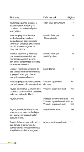 116
Manchas pequeñas ovaladas y Tizón foliar por turcicum 17
acuosas que se alargan y se
convierten en lesiones elípticas
y necróticas.
Manchas pequeñas de color Mancha foliar por 29
verde claro, de redondas a Phaeosphaeria
alargadas que posteriormente
se vuelven cloróticas y, finalmente,
necróticas, con márgenes de
color café oscuro.
Marchas pequeñas y redondas Mancha foliar por 30
que se convierten en lesiones Hyalothyridium
necróticas oscuras (3 a 4 cm)
con anillos concéntricos rodeados
de manchas cloróticas.
Lesiones necróticas, alargadas, de Borde blanco 13
dos colores en el borde de la hoja
y pequeños hongos blancos
que se forman en el envés.
Manchas pequeñas y blanquecinas, Virus del rayado fino 107
que se fusionan y forman una línea. del maíz
Rayado discontinuo y amarillo que Virus del rayado del maíz 103
comienza como manchas pequeñas,
redondas y de color blanco.
Rayado, clorosis. Moteado clorótico del maíz 92
Virus del rayado fino del maíz 107
Virus del rayado del maíz 103
Rayado, clorosis; las hojas se ven Mosaico I del maíz 99
amontonadas y erectas; las hojas
son ásperas, carnosas, de color
púrpura oscuro.
Rayado de blanco a amarillo, ancho, Achaparramiento del maíz 111
que cambia a púrpura en las
puntas foliares; enrojecimiento y/o
amarillamiento de los márgenes.
Síntomas Enfermedad Página
 
