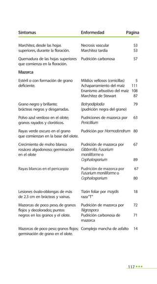 117
Marchitez, desde las hojas Necrosis vascular 53
superiores, durante la floración. Marchitez tardía 53
Quemadura de las hojas superiores Pudrición carbonosa 57
que comienza en la floración.
Mazorca
Estéril o con formación de grano Mildiús vellosos (cenicillas) 5
deficiente. Achaparramiento del maíz 111
Enanismo arbustivo del maíz 108
Marchitez de Stewart 87
Grano negro y brillante; Botryodiplodia 79
brácteas negras y desgarradas. (pudrición negra del grano)
Polvo azul verdoso en el olote; Pudriciones de mazorca por 63
granos rayados y cloróticos. Penicillium
Rayas verde oscuro en el grano Pudrición por Hormodendrum 80
que comienzan en la base del olote.
Crecimiento de moho blanco Pudrición de mazorca por 67
rosáceo algodonoso; germinación Gibberella, Fusarium
en el olote moniliforme o
Cephalosporium 89
Rayas blancas en el pericarpio Pudrición de mazorca por 67
Fusarium moniliforme o
Cephalosporium 80
Lesiones óvalo-oblongas de más Tizón foliar por maydis 18
de 2.3 cm en brácteas y vainas. raza“T”
Mazorcas de poco peso, de granos Pudrición de mazorca por 72
flojos y decolorados; puntos Nigrospora
negros en los granos y el olote. Pudrición carbonosa de 71
mazorca
Mazorcas de poco peso; granos flojos; Complejo mancha de asfalto 14
germinación de grano en el olote.
Síntomas Enfermedad Página
 