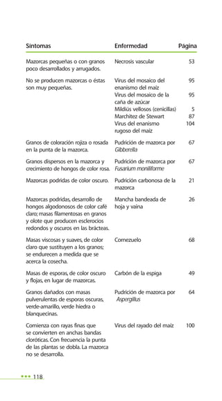 118
Mazorcas pequeñas o con granos Necrosis vascular 53
poco desarrollados y arrugados.
No se producen mazorcas o éstas Virus del mosaico del 95
son muy pequeñas. enanismo del maíz
Virus del mosaico de la 95
caña de azúcar
Mildiús vellosos (cenicillas) 5
Marchitez de Stewart 87
Virus del enanismo 104
rugoso del maíz
Granos de coloración rojiza o rosada Pudrición de mazorca por 67
en la punta de la mazorca. Gibberella
Granos dispersos en la mazorca y Pudrición de mazorca por 67
crecimiento de hongos de color rosa. Fusarium moniliforme
Mazorcas podridas de color oscuro. Pudrición carbonosa de la 21
mazorca
Mazorcas podridas, desarrollo de Mancha bandeada de 26
hongos algodonosos de color café hoja y vaina
claro; masas filamentosas en granos
y olote que producen esclerocios
redondos y oscuros en las brácteas.
Masas viscosas y suaves, de color Cornezuelo 68
claro que sustituyen a los granos;
se endurecen a medida que se
acerca la cosecha.
Masas de esporas, de color oscuro Carbón de la espiga 49
y flojas, en lugar de mazorcas.
Granos dañados con masas Pudrición de mazorca por 64
pulverulentas de esporas oscuras, Aspergillus
verde-amarillo, verde hiedra o
blanquecinas.
Comienza con rayas finas que Virus del rayado del maíz 100
se convierten en anchas bandas
cloróticas. Con frecuencia la punta
de las plantas se dobla. La mazorca
no se desarrolla.
Síntomas Enfermedad Página
 
