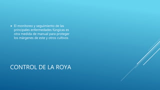 CONTROL DE LA ROYA
 El monitoreo y seguimiento de las
principales enfermedades fúngicas es
otra medida de manual para proteger
los márgenes de este y otros cultivos
 