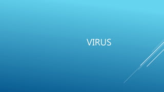 VIRUS
 