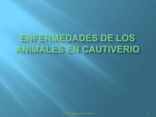 ENFERMEDADES DE LOS ANIMALES EN CAUTIVERIO 1 EMVZ Abigail Hernández 