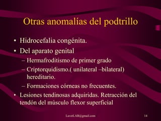 LavetLAB@gmail.com 14
Otras anomalías del podtrillo
• Hidrocefalia congénita.
• Del aparato genital
– Hermafroditismo de primer grado
– Criptorquidismo.( unilateral –bilateral)
hereditario.
– Formaciones córneas no frecuentes.
• Lesiones tendinosas adquiridas. Retracción del
tendón del músculo flexor superficial
 