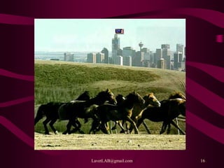 LavetLAB@gmail.com 16
 