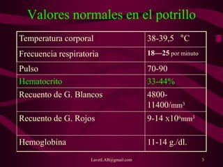 LavetLAB@gmail.com 3
Valores normales en el potrillo
Temperatura corporal 38-39,5 °C
Frecuencia respiratoria 18—25 por minuto
Pulso 70-90
Hematocrito 33-44%
Recuento de G. Blancos 4800-
11400/mm3
Recuento de G. Rojos 9-14 X106mm3
Hemoglobina 11-14 g./dl.
 