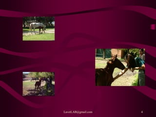 LavetLAB@gmail.com 4
 