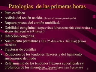 LavetLAB@gmail.com 6
Patologías de las primeras horas
• Paro cardíaco
• Asfixia del recién nacido. (durante el parto o poco después)
• Ruptura precoz del cordón umbilical.
• Debilidad congénita.(Herpes virus Rinoneumonitis viral equina o
aborto viral equino 8-9 meses )
• Infección congénita.
• Nacimiento prematuro ( 10 a 25 dias antes 340 dias) (vasos
blandos)
• Fracturas de costillas
• Retracción de los tendones flexores y del ligamento
suspensorio del nudo
• Relajamiento de los tendones flexores superficiales y
profundos de los miembros . (posteriores más frecuente)
 
