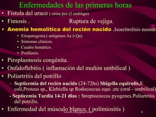 LavetLAB@gmail.com 8
Enfermedades de las primeras horas
• Fistula del uraco ( orina por el ombligo)
• Fimosis . Ruptura de vejiga.
• Anemia hemolítica del recién nacido .Isoeritrolisis neonata
• Etiopatogenia.( antigenos Aa ó Qa)
• Sintomas clinicos.
• Cuadro hemático.
• Profilaxis.
• Piroplasmosis congénita.
• Onfaloflebitis ( inflamación del muñón umbilical )
• Poliartritis del potrillo
– Septicemia del recién nacido (24-72hs) Shigella equirulis,E
coli,Proteus sp., Klebiella sp Rodococcus equi .etc (oral - umbilical)
- Septicemia Tardia 14-21 dias : Streptococcus pyogenes.Poliartritis
del potrillo.
• Enfermedad del músculo blanco. ( polimiositis )
 