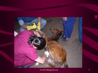 LavetLAB@gmail.com 9
 