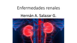 Enfermedades renales
Hernán A. Salazar G.
 