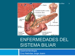 ENFERMEDADES DEL
SISTEMA BILIAR
Gastroenterología
Cruz Nativitas Jorge Joann
1Enfermedades del Sistema Biliar
 