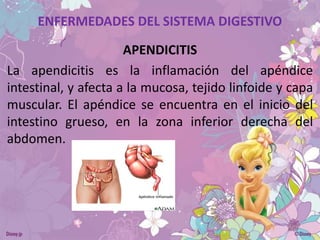 ENFERMEDADES DEL SISTEMA DIGESTIVO
APENDICITIS
La apendicitis es la inflamación del apéndice
intestinal, y afecta a la mucosa, tejido linfoide y capa
muscular. El apéndice se encuentra en el inicio del
intestino grueso, en la zona inferior derecha del
abdomen.

 