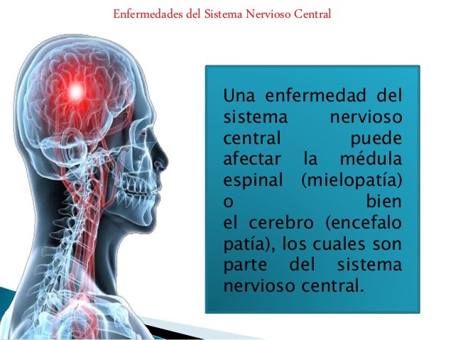 Enfermedades del sistema nervioso: Central Autonomo y Periferico