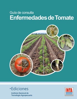 Guía de consulta 
EnfermedadesdeTomate 
Ediciones 
Instituto Nacional de 
Tecnología Agropecuaria 
 