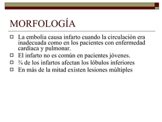 MORFOLOGÍA La embolia causa infarto cuando la circulación era inadecuada como en los pacientes con enfermedad cardíaca y pulmonar. El infarto no es común en pacientes jóvenes. ¾ de los infartos afectan los lóbulos inferiores En más de la mitad existen lesiones múltiples 