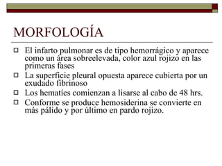 MORFOLOGÍA El infarto pulmonar es de tipo hemorrágico y aparece como un área sobreelevada, color azul rojizo en las primeras fases La superficie pleural opuesta aparece cubierta por un exudado fibrinoso Los hematíes comienzan a lisarse al cabo de 48 hrs.  Conforme se produce hemosiderina se convierte en más pálido y por último en pardo rojizo. 