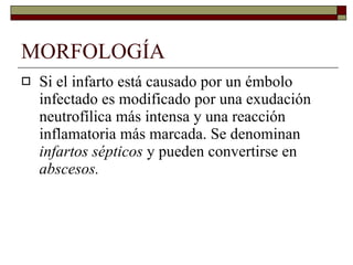 MORFOLOGÍA Si el infarto está causado por un émbolo infectado es modificado por una exudación neutrofílica más intensa y una reacción inflamatoria más marcada. Se denominan  infartos   sépticos  y pueden convertirse en  abscesos. 