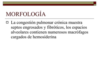 MORFOLOGÍA La congestión pulmonar crónica muestra septos engrosados y fibróticos, los espacios alveolares contienen numerosos macrófagos cargados de hemosiderina  