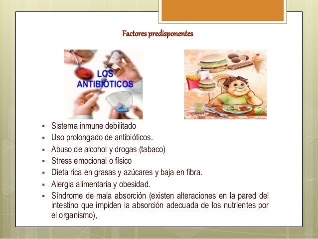 En la carne de alce hay unos parásitos