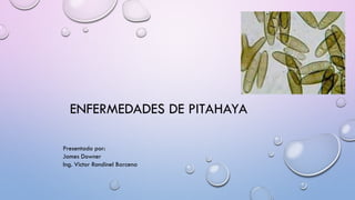 ENFERMEDADES DE PITAHAYA
Presentado por:
James Downer
Ing. Victor Rondinel Barcena
 