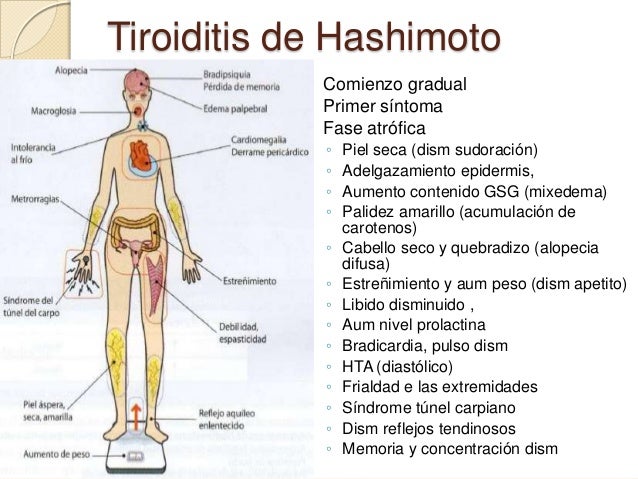 como eliminar la grasa corporal del cuerpo Como eliminar la grasa corporal del cuerpo hagas pesas usars