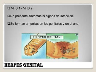  VHS 1 - VHS 2.

 No presenta síntomas ni signos de infección.

 Se forman ampollas en los genitales y en el ano.




HERPES GENITAL
 