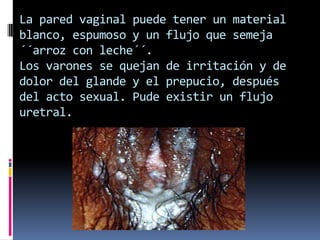 La pared vaginal puede tener un material blanco, espumoso y un flujo que semeja ´´arroz con leche´´.Los varones se quejan de irritación y de dolor del glande y el prepucio, después del acto sexual. Pude existir un flujo uretral.