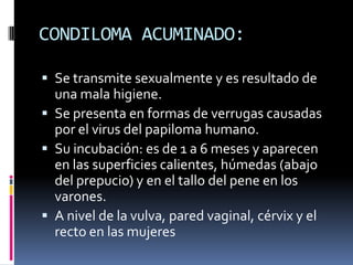CONDILOMA ACUMINADO:Se transmite sexualmente y es resultado de una mala higiene.Se presenta en formas de verrugas causadas por el virus del papiloma humano.Su incubación: es de 1 a 6 meses y aparecen en las superficies calientes, húmedas (abajo del prepucio) y en el tallo del pene en los varones.A nivel de la vulva, pared vaginal, cérvix y el recto en las mujeres 