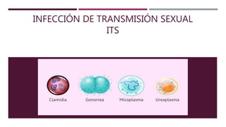 INFECCIÓN DE TRANSMISIÓN SEXUAL
ITS
 