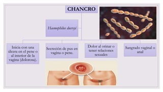 Enfermedades de transmisión sexual | PPTX