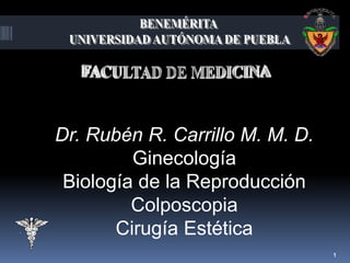 Dr. Rubén R. Carrillo M. M. D.
Ginecología
Biología de la Reproducción
Colposcopia
Cirugía Estética
1
 