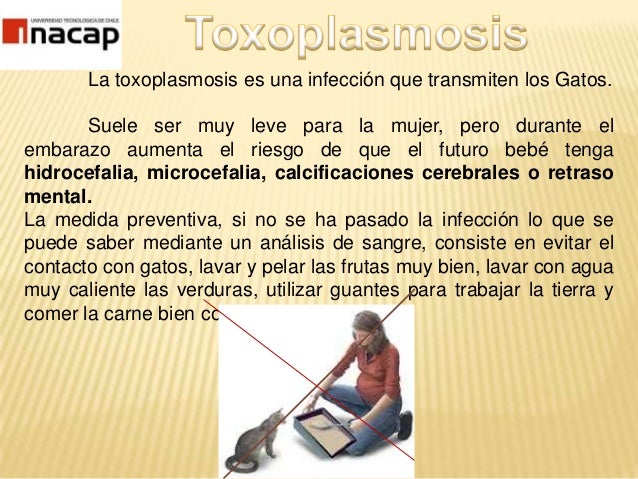 Que más vale curar la psoriasis sobre la persona