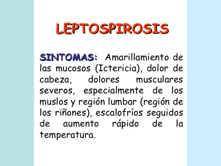 La escoliosis sheynogo del departamento de la columna vertebral de 1 grado de la foto