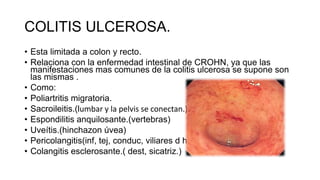 COLITIS ULCEROSA.
• Esta limitada a colon y recto.
• Relaciona con la enfermedad intestinal de CROHN, ya que las
manifestaciones mas comunes de la colitis ulcerosa se supone son
las mismas .
• Como:
• Poliartritis migratoria.
• Sacroileitis.(lumbar y la pelvis se conectan.)
• Espondilitis anquilosante.(vertebras)
• Uveítis.(hinchazon úvea)
• Pericolangitis(inf, tej, conduc, viliares d h.)
• Colangitis esclerosante.( dest, sicatriz.)
 