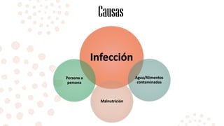 Causas
Infección
Malnutrición
Agua/Alimentos
contaminados
Persona a
persona
 