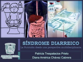 SÍNDROME DIARREICOLa Nutrición desde una perspectiva multidisciplinaria Patricia Trespalacios Prieto Diana América Chávez Cabrera 