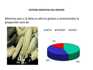 SISTEMA DIGESTIVO DEL BOVINO
Mientras que si la dieta es alta en granos o concentrados la
proporción será de:
 
