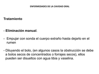 ENFERMEDADES DE LA CAVIDAD ORAL
Tratamiento
- Eliminación manual.
- Empujar con sonda el cuerpo extraño hasta dejarlo en el
rumen
- Diluyendo el bolo, (en algunos casos la obstrucción se debe
a bolos secos de concentrados o forrajes secos), ellos
pueden ser disueltos con agua tibia y vaselina.
 