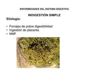 ENFERMEDADES DEL SISTEMA DIGESTIVO
INDIGESTIÓN SIMPLE
Etiología:
• Forrajes de pobre digestibilidad
• Ingestión de placenta.
• NNP
 