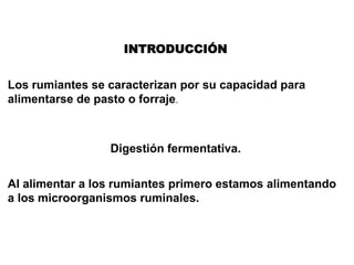 INTRODUCCIÓN
Los rumiantes se caracterizan por su capacidad para
alimentarse de pasto o forraje.
Digestión fermentativa.
Al alimentar a los rumiantes primero estamos alimentando
a los microorganismos ruminales.
 
